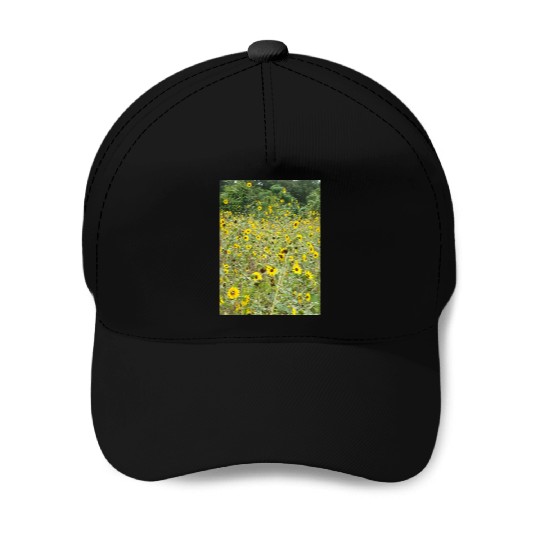 My Photography - Swamp Sunflowers in Texas Baseball Caps