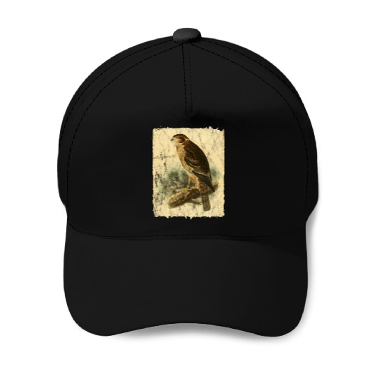 Bird Facon Hawk Baseball Caps