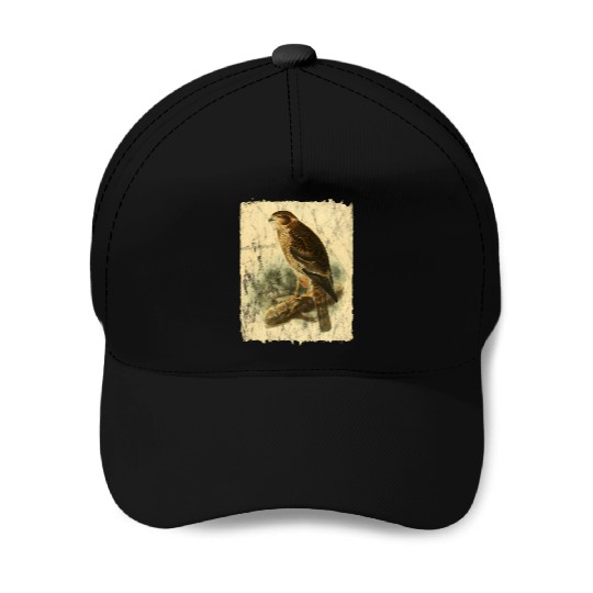 Bird Facon Hawk Baseball Caps
