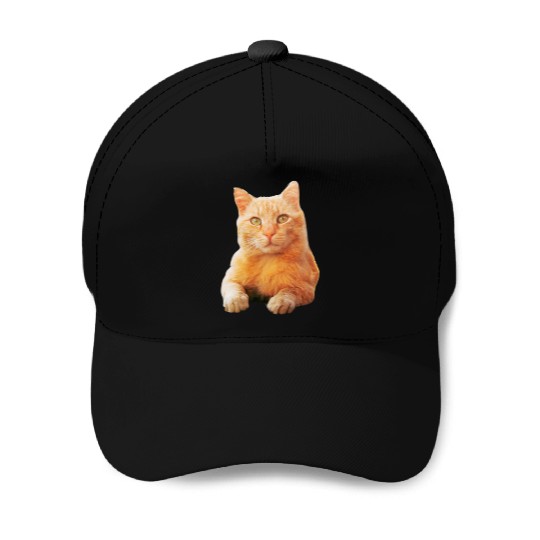 Orange Cat Baseball Caps