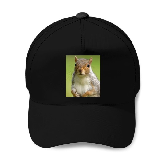 Squirrel Photo Chipmunk Animal Lover Wildlife Pun Baseball Caps