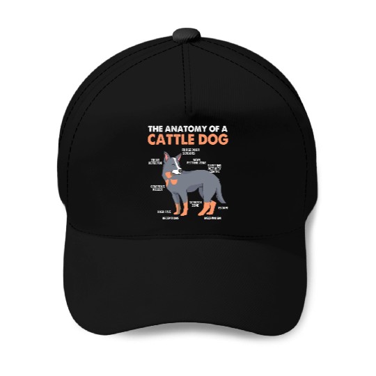 Blue Heeler Cattle Dog The Anatomy Of Cattle Dog Baseball Caps