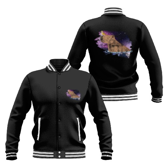Distressed Capybara And Bird Nature Animal Rodent Baseball Jackets