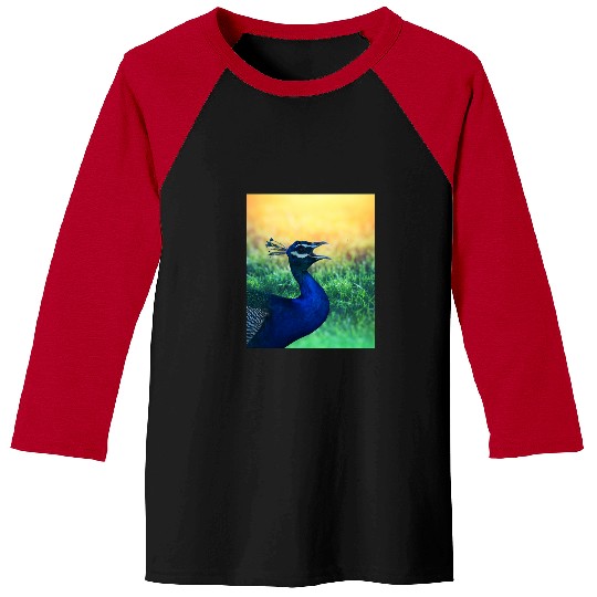 Disney-Up Shirt, Kevin Up Shirt, Up Balloon Shirt, Disney-Balloon Baseball Tees