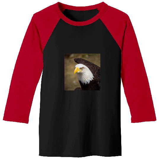Eagle In Nature Haliaeetus Leucocephalus Baseball Tees