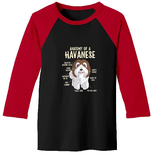 Havanese Pet Anatomy of A Havanese Dog Owner Puppy Funny Cute Baseball Tees