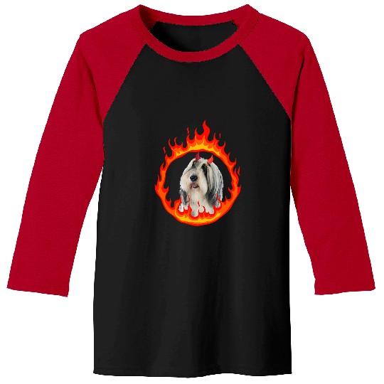 Bearded Collie Pet Devil Dog Bearded Collie 1 Baseball Tees