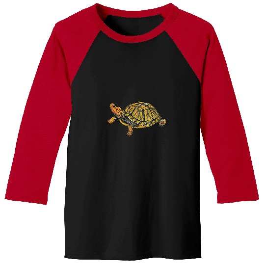 Turtle Pet Box Turtle Realistic Illustration Shell Animal Baseball Tees