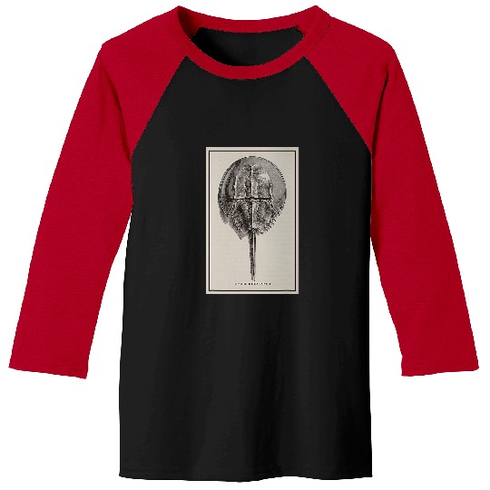Horse Pet vintages Horseshoe Crab Illustration Baseball Tees