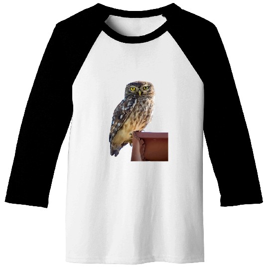 Owl Pet Beautiful Cute Barn Owl Staring With Wide Yellow Eyes Baseball Tees
