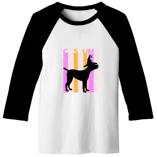 Funny Cane Corso Halloween In Witch Hat Silhouette Vintage Baseball Tees