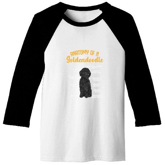Dog Goldendoodle Black Goldendoodle Anatomy Of A Goldendoodle T-Shirt Baseball Tees