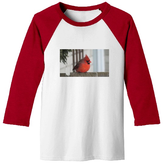 Brilliant Cardinal Bird 2 Baseball Tees