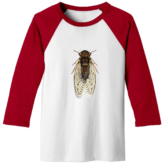 cicada Baseball Tees