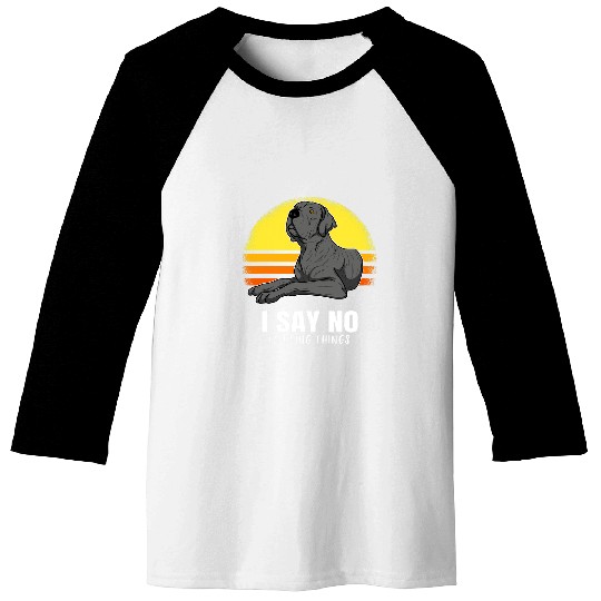 Dog Great Dane German Mastiff Great Dane Sunset 29 6 Baseball Tees