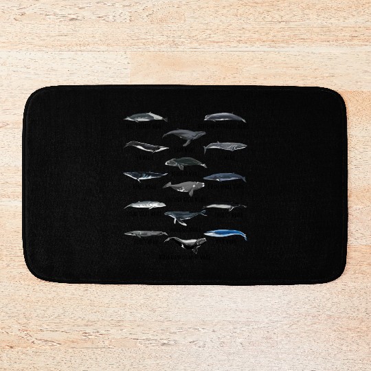 Different Whale Species Biology Types Of Whales Bath Mats