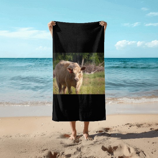 Cow Beach Towels