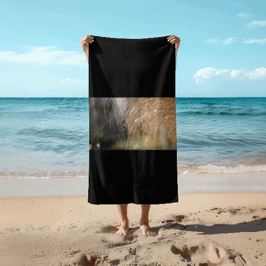 Tiny Dew Drops on Delicate Golden Grass Beach Towels