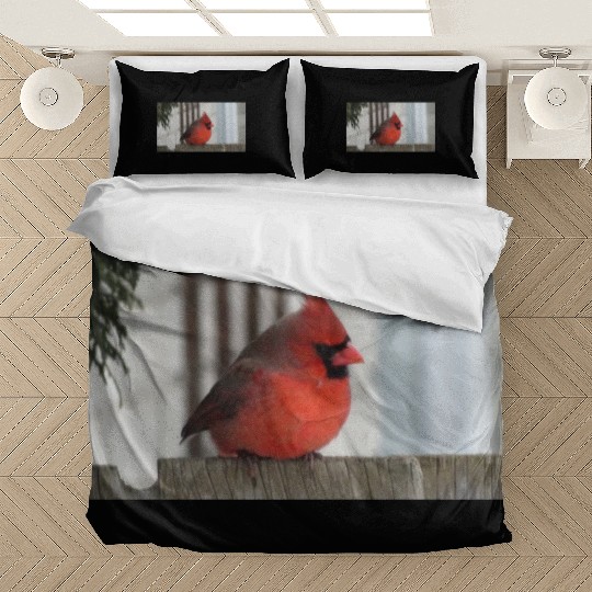Brilliant Cardinal Bird 2 Bedding Sets