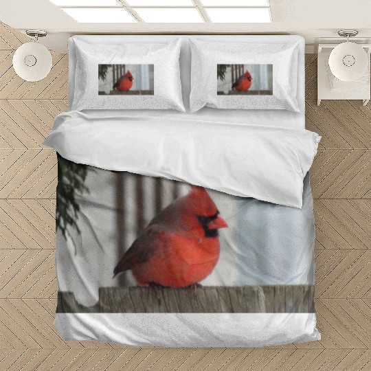 Brilliant Cardinal Bird 2 Bedding Sets