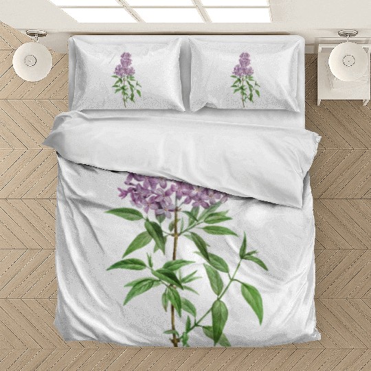 Lavender Bloom Botanical Illustration Bedding Sets