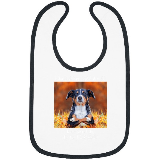 Dog Rottweiler I Dont Always Bark At Night Funny Rottweiler Meme Bibs