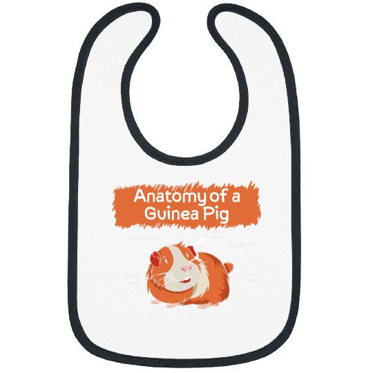 Guinea Pig Pet Definition Cute Pet Animal Anatomy Of Pig Guinea Hamster Bibs