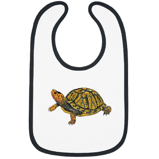 Turtle Pet Box Turtle Realistic Illustration Shell Animal Bibs