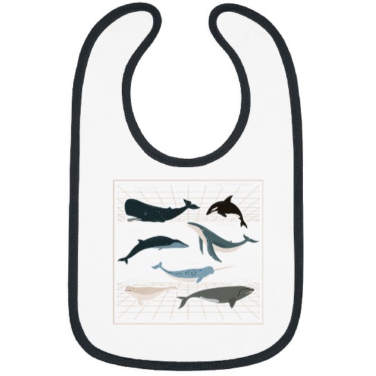 Whale Pet Types of Whales Marine Mammal Sea Life Marine Biologist Bibs