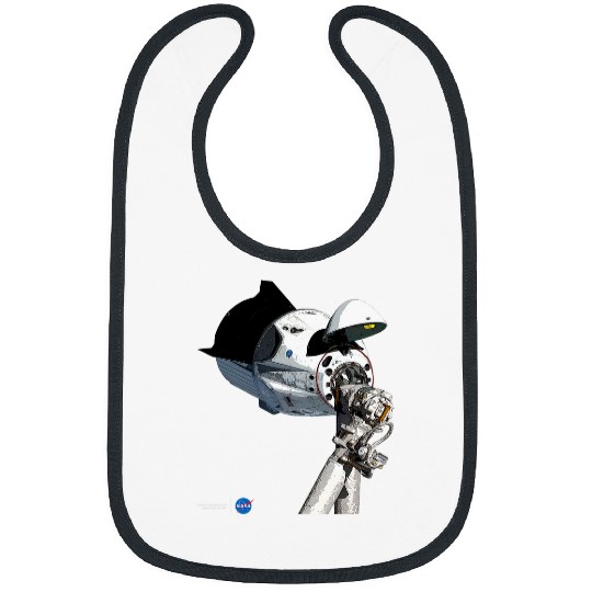 Dragon Pet NASA SpaceX Dragon Capsule At The ISS Bibs