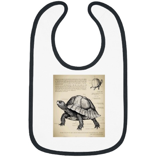 Turtle Pet Box Turtle Structural Blueprint Bibs