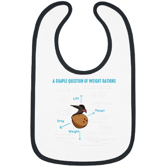 Funny Math Quote Mathematics Nerd Geek Algebra Humor Bibs