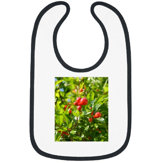 Pomegranate Closed Red Flower Bud Photography Bibs