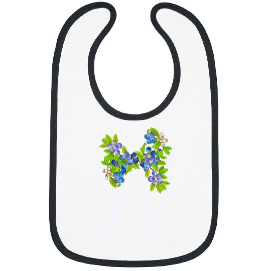 Funny Blueberry Teacher Math Lover Pi Day Women Girls Kids Bibs