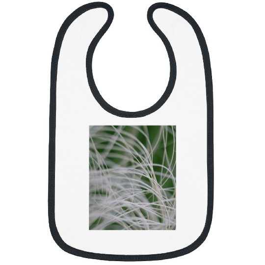 Abstract Macro Photograph Of Mediterranean Palm Bibs