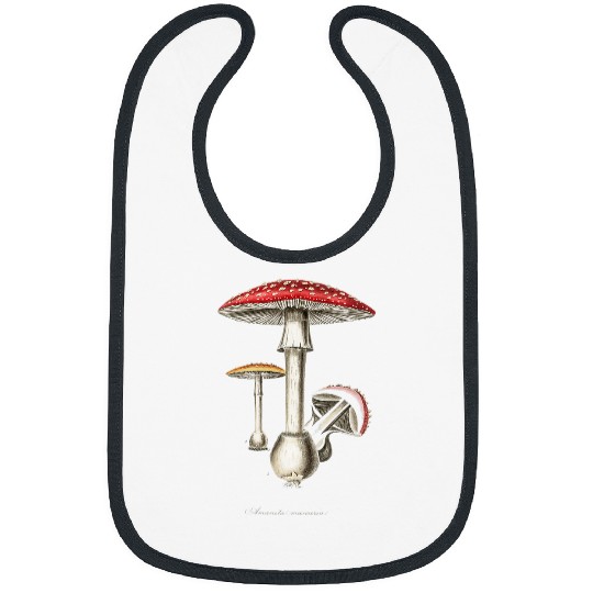 medicals Botany Amanita Mususcaria vintages Mushroom Art Bibs