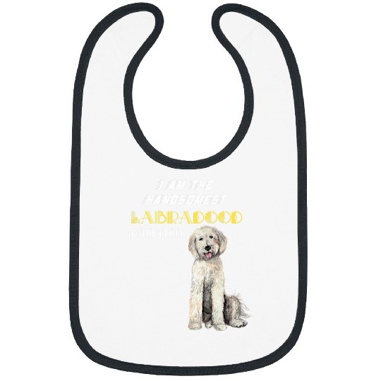 The handsomest labradoodle Bibs