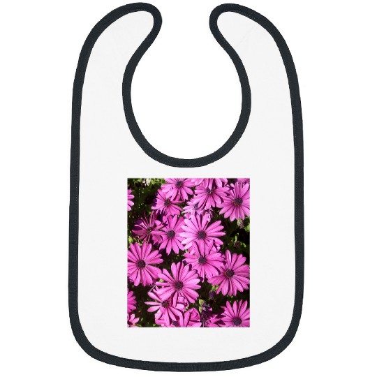 Magenta Pink Osteospermum Flowers In The Garden Photograph Bibs