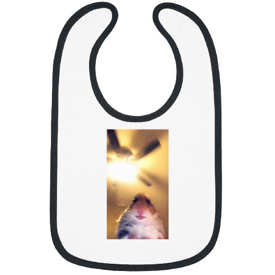 Hamster Meme Camera Hamster Funny Webcam Bibs