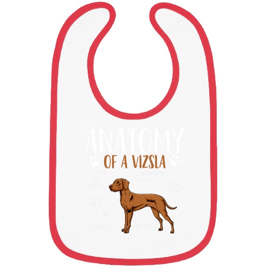 Dog Vizsla Anatomy Bibs