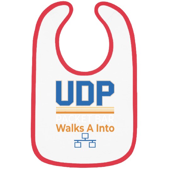 Network Expert Design for Software Engineers Programmer 2 Bibs