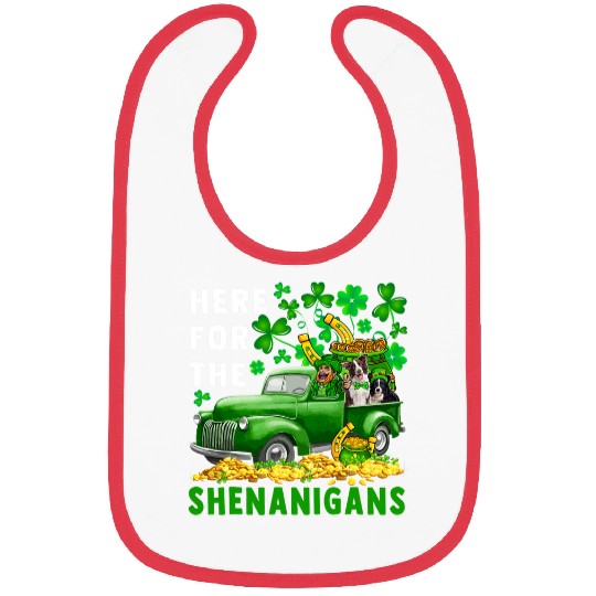 Border Collie Pet Here For Shenanigans St Bibs