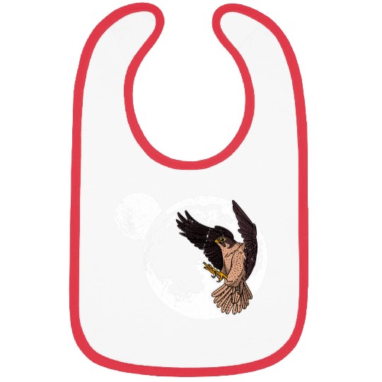 Hawk Pergrim Falconery Bird Species Ornithologist 1 Bibs