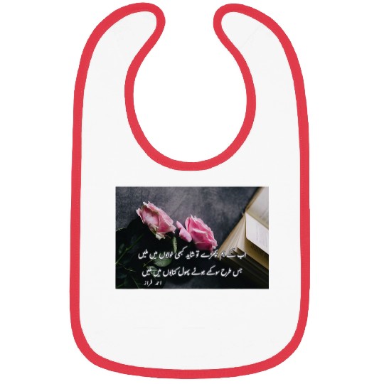 Book Fun Ahmad Faraz Ab keh hum bichray to shayad urdu poetry Bibs