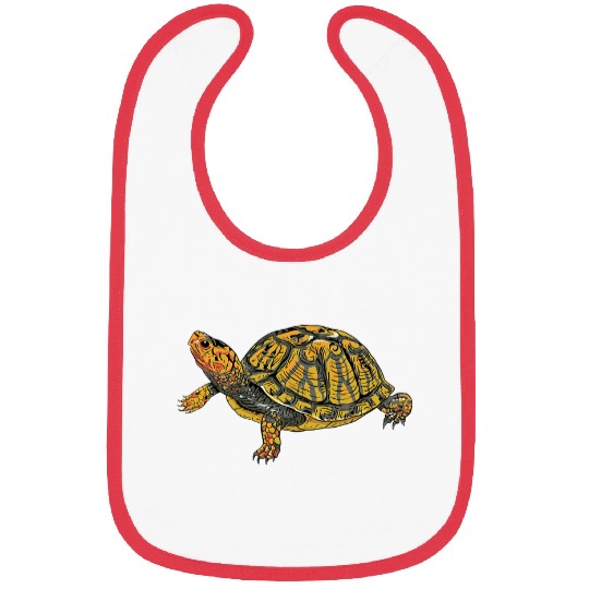 Turtle Pet Box Turtle Realistic Illustration Shell Animal Bibs