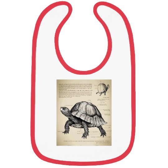 Turtle Pet Box Turtle Structural Blueprint Bibs