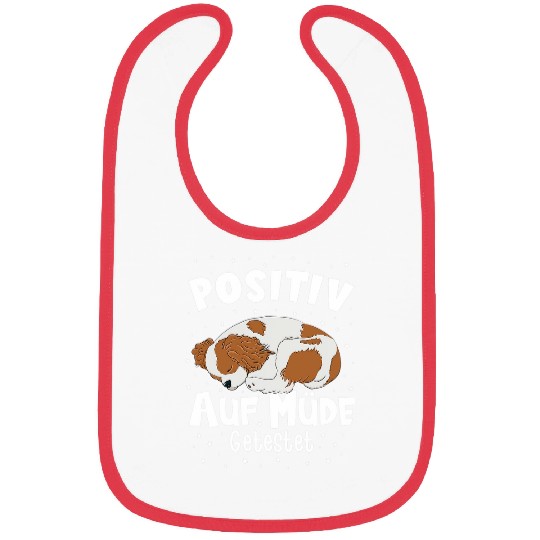 Cavalier King Charles Spaniel Positive Tested for Tired Bibs