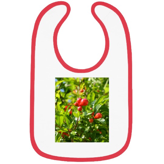 Pomegranate Closed Red Flower Bud Photography Bibs
