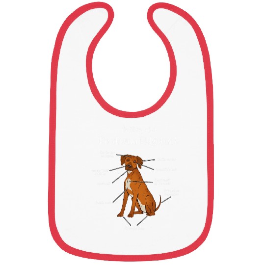 Anatomy of a Rhodesian Ridgeback Dog Rhodesian Ridgeback Bibs