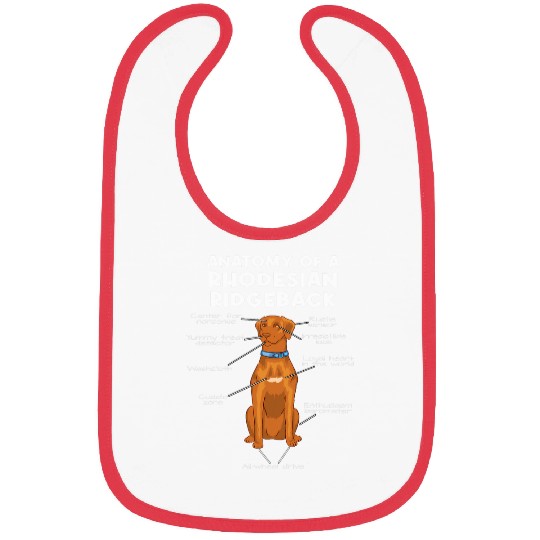 Anatomy of a Rhodesian Ridgeback Dog Rhodesian Ridgeback 1 Bibs